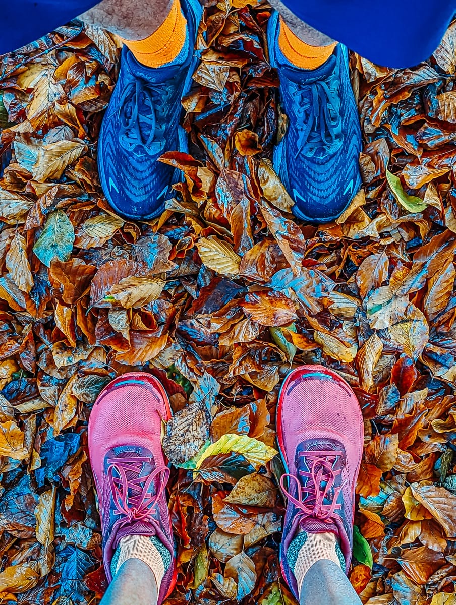 48 STUNDEN IN DER PROVINZ NORDBRABANT IN DEN NIEDERLANDEN - EIN BESUCH IN TILBURG & EINDHOVEN 8 Morning Run durch den Oude Warande bei verzauberndem Morgenlicht - Provinz Nordbrabant - Tilburg