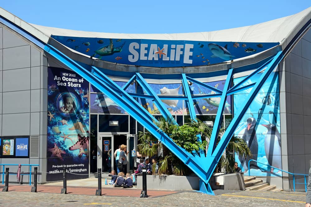 SEA LIFE Centre in Birmingham  – Things to do in Birmingham (UK)