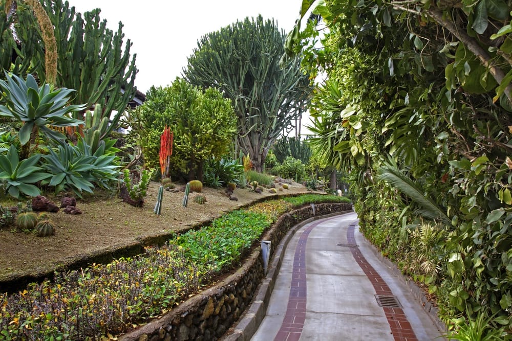 Walk through the Loro park and enjoy the wildlife  | Things to do in Puerto de la Cruz
