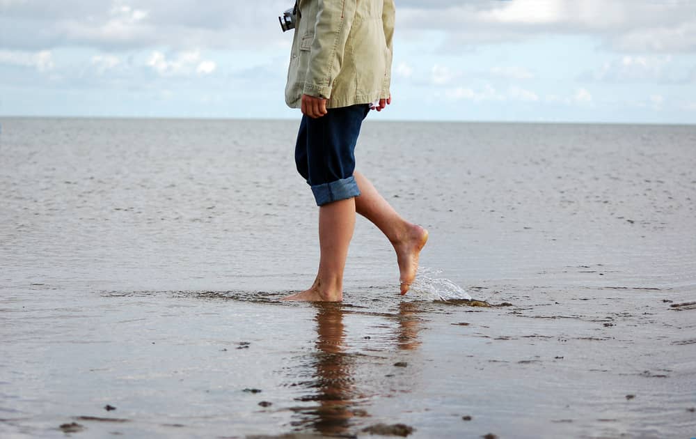 Eine Wattwanderung gehört einfach dazu - Norderney Sehenswürdigkeiten